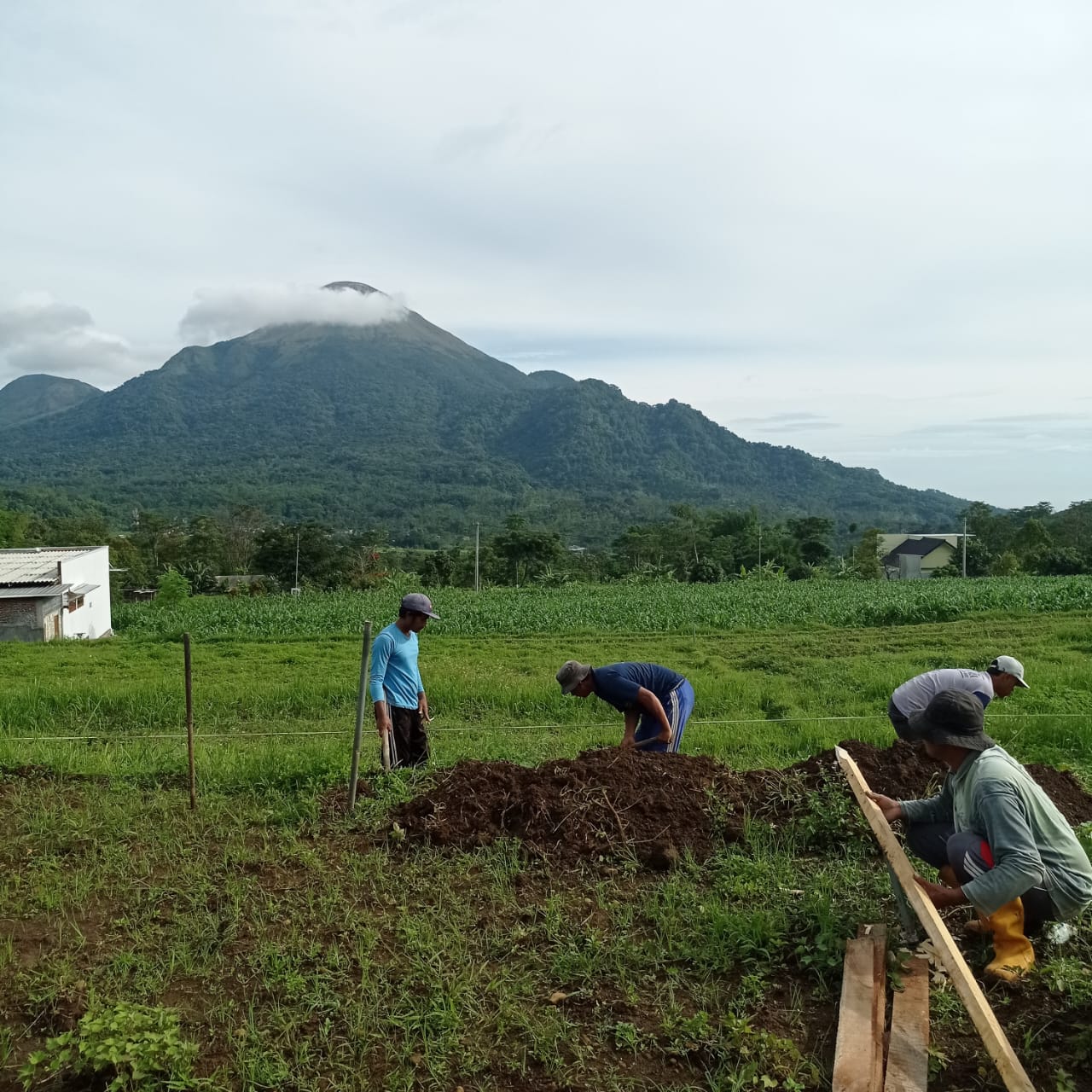Progres Panoramic Cottage Trawas (4)